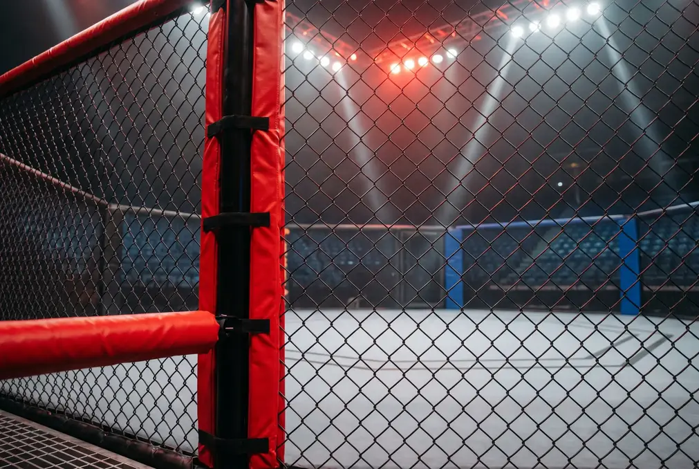 UFC Wetten in Deutschland - Daten, Quoten und Strategien für MMA-Sportwetten